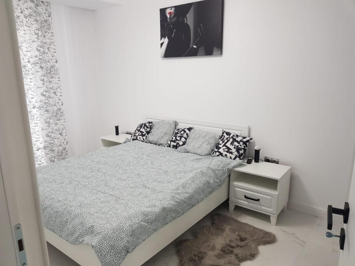 New Transilvania Apartment クルージュ＝ナポカ エクステリア 写真